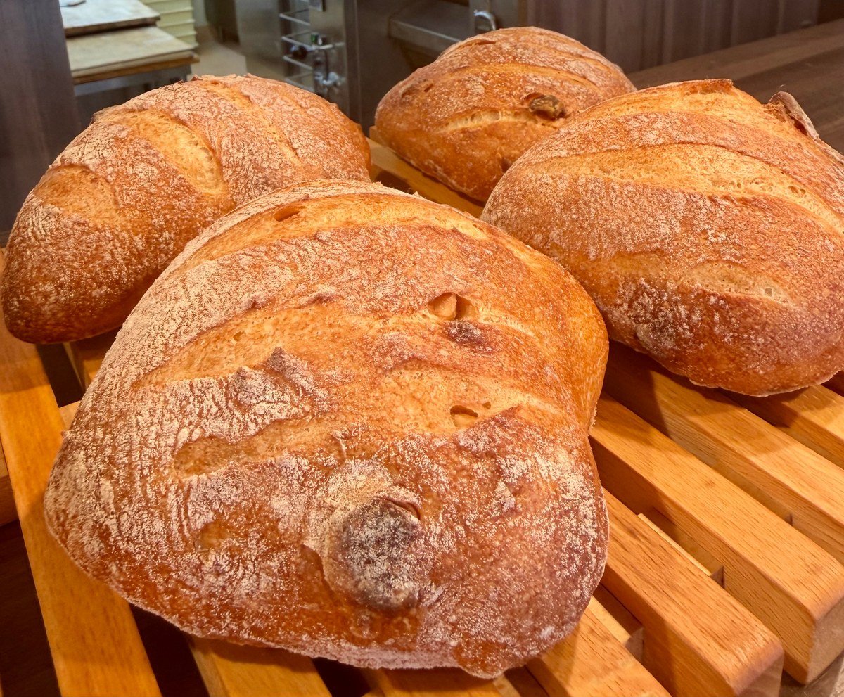 パン・リュスティック・マカダミア — Bäckerei Terutake(ベッカライテルタケ)